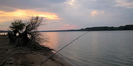 Nice Carp :) - crap-impact2.jpg